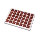 Суичове за механична клавиатура Keychron Gateron Phantom Brown Switch, Комплект 35 броя, (35934718)