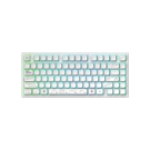 Геймърскa безжична клавиатура Dark Project ALU81A Terra Nova White RGB, (35938878)
