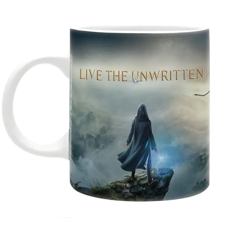 Чаша ABYSTYLE HARRY POTTER, Hogwarts Legacy Castle, 320 ml, (35936025)