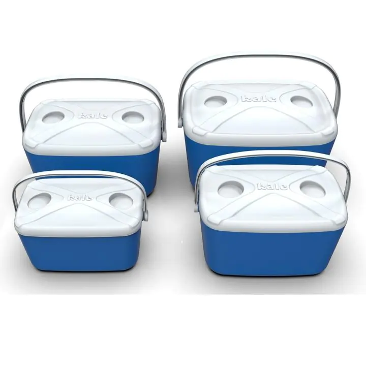 Хладилна кутия Buzzy, 30 литра, син, (20449)