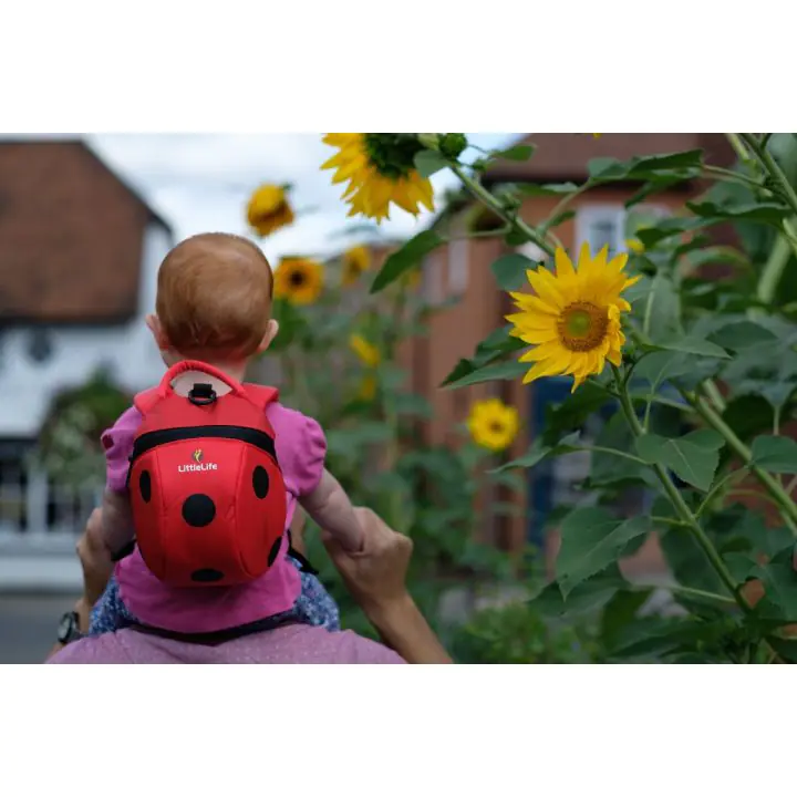 Раница LittleLife Калинка L10813, С повод, (15334)