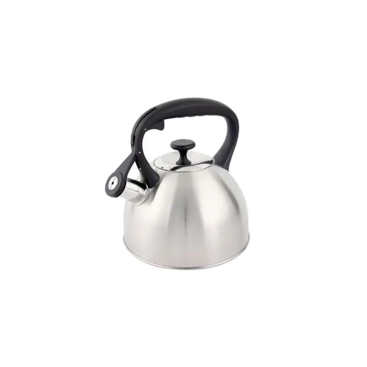 Свирещ чайник Golden Sea GS-04156D, 2,1литра, неръждаема стомана, термо дръжка, мат, (18755)