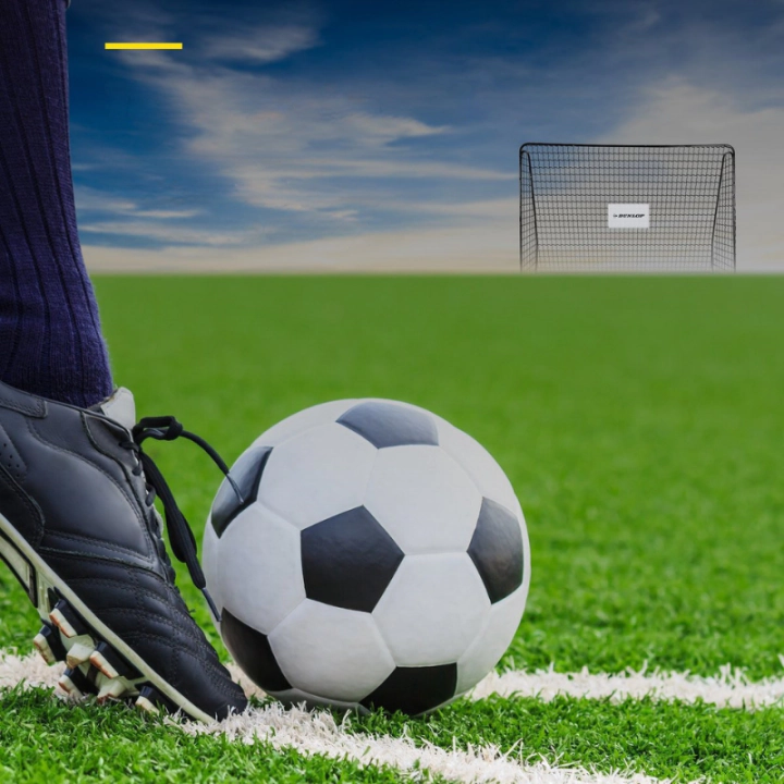 Dunlop футболна врата 300x205x120, (35944904)