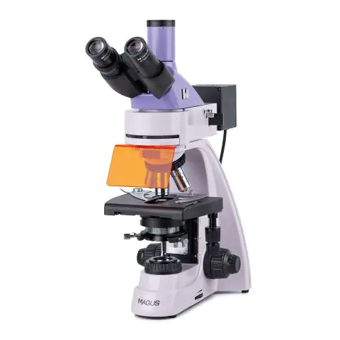 Флуоресцентен микроскоп MAGUS Lum 400L, (35949150)