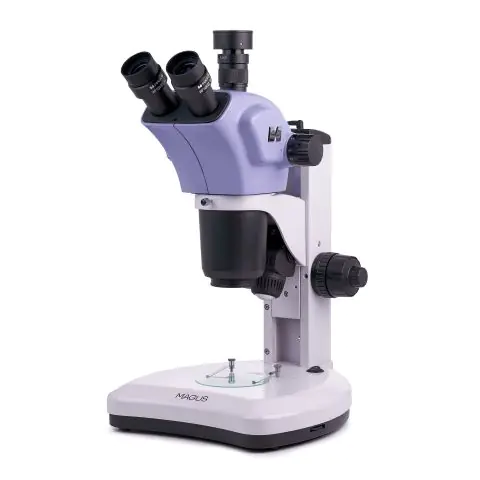 Стереомикроскоп MAGUS Stereo 9T, (35949154)