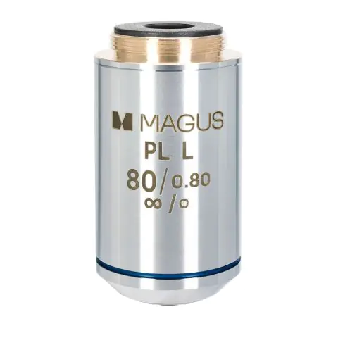 Обектив MAGUS 80PLL 80х/0,80 Plan L WD 1,25 mm, (35949282)