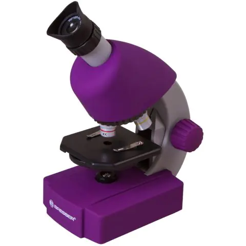 Bresser Junior 40–640x Microscope, violet