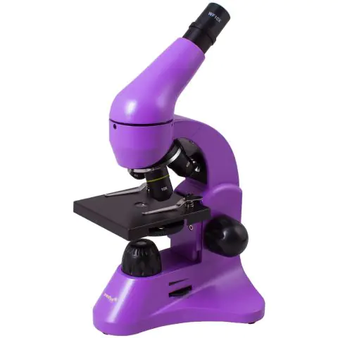 Микроскоп Levenhuk Rainbow 50L Amethyst(Аметист)
