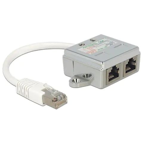 Адаптер DeLock Port Doubler, 1 x RJ45 plug - 2 x RJ45 jack (2 x Ethernet), (35936609)