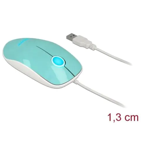 Оптична мишка DeLock, USB-A, Кабел 1.3 м, USB, 1200 dpi, Tюркоаз, (35937333)