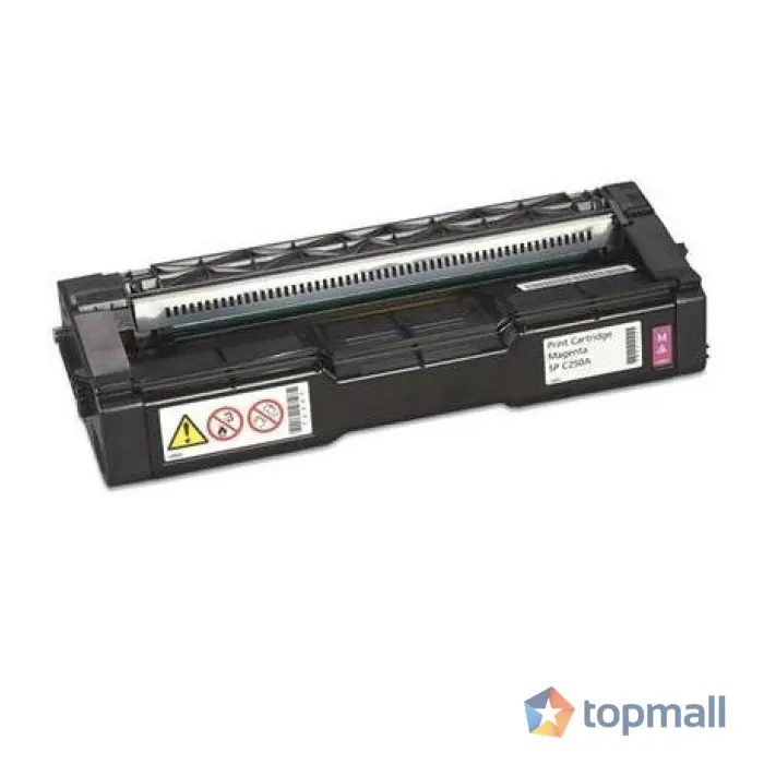 Тонер касета Ricoh C250 RY, за SP C300W,M C250FWB, 2300 копия, Черен, (35933674)
