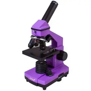 Микроскоп Levenhuk Rainbow 2L PLUS Amethyst (Аметист)