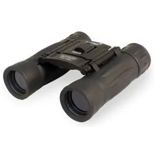 Бинокъл Levenhuk Atom 10x25